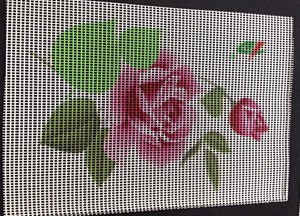 彩繪金剛網(wǎng)